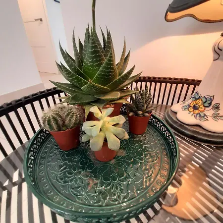 Casa Fenix 度假居 *